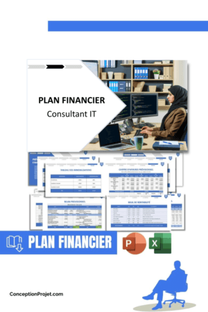 PLAN FINANCIER - Consultant IT