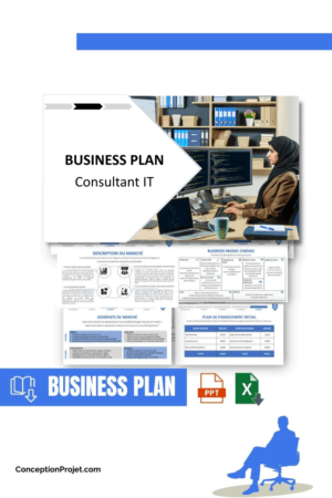 BUSINESS PLAN - Consultant IT