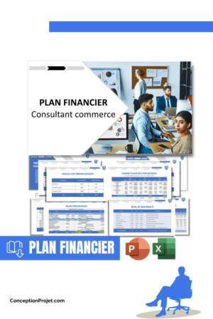 PLAN FINANCIER - Consultant commerce