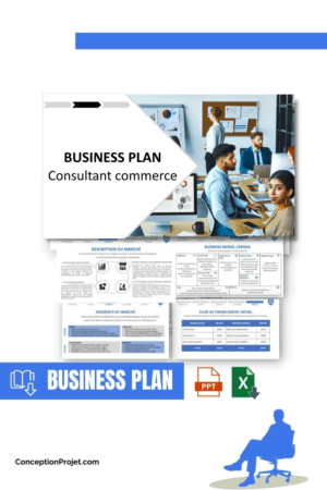 BUSINESS PLAN - Consultant commerce