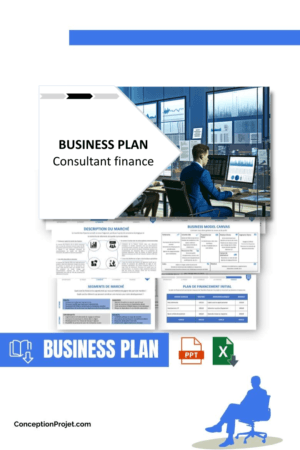 BUSINESS PLAN - Consultant finance
