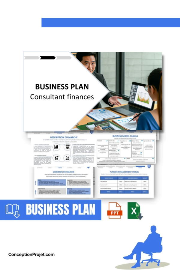 BUSINESS PLAN - Consultant finances