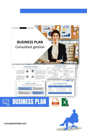 BUSINESS PLAN - Consultant gestion