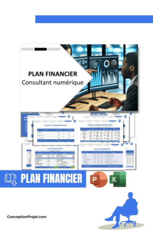 PLAN FINANCIER - Consultant numérique