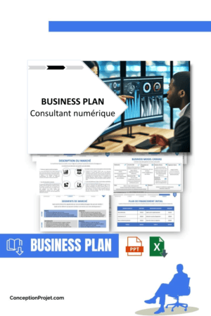 BUSINESS PLAN - Consultant numérique