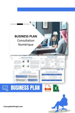 BUSINESS PLAN - Consultation Numérique