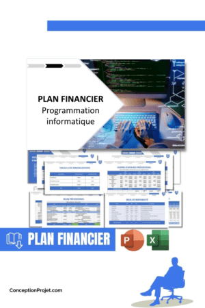 PLAN FINANCIER - Programmation informatique
