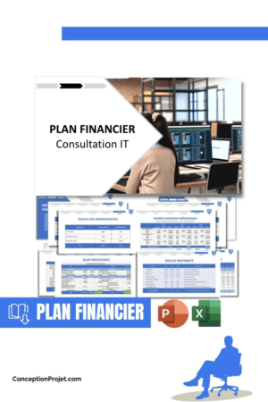 PLAN FINANCIER - Consultation IT