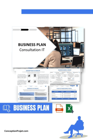 BUSINESS PLAN - Consultation IT
