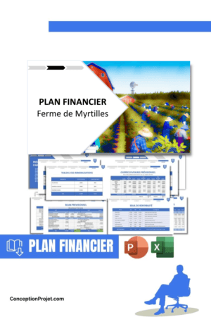 PLAN FINANCIER - Ferme de Myrtilles