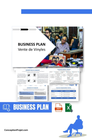 BUSINESS PLAN - Vente de Vinyles