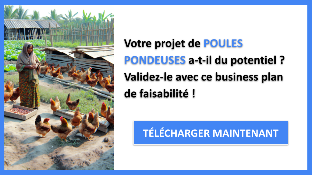 Étude Faisabilité Poules Pondeuses - POULES PONDEUSES-4
