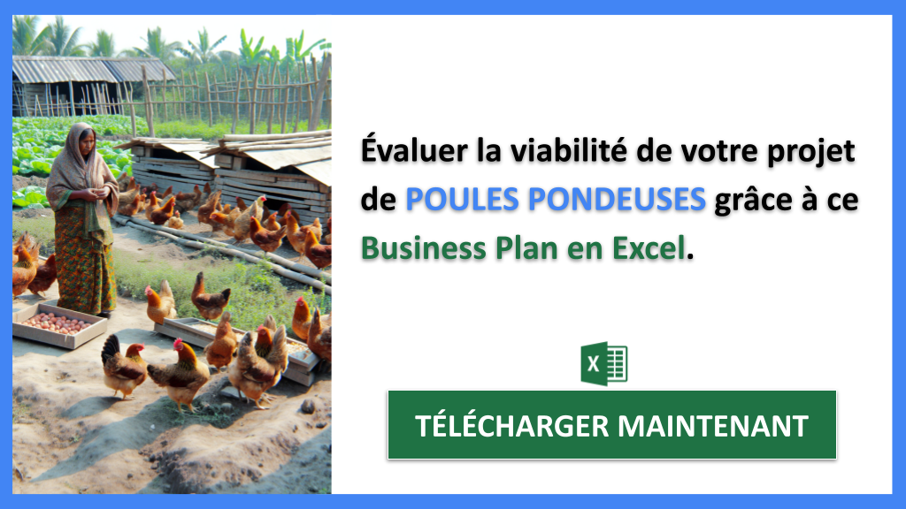 Étude Faisabilité Poules Pondeuses - POULES PONDEUSES-5