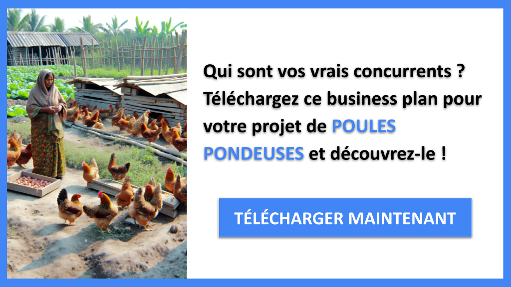 Étude de la Concurrence Poules Pondeuses - POULES PONDEUSES-4