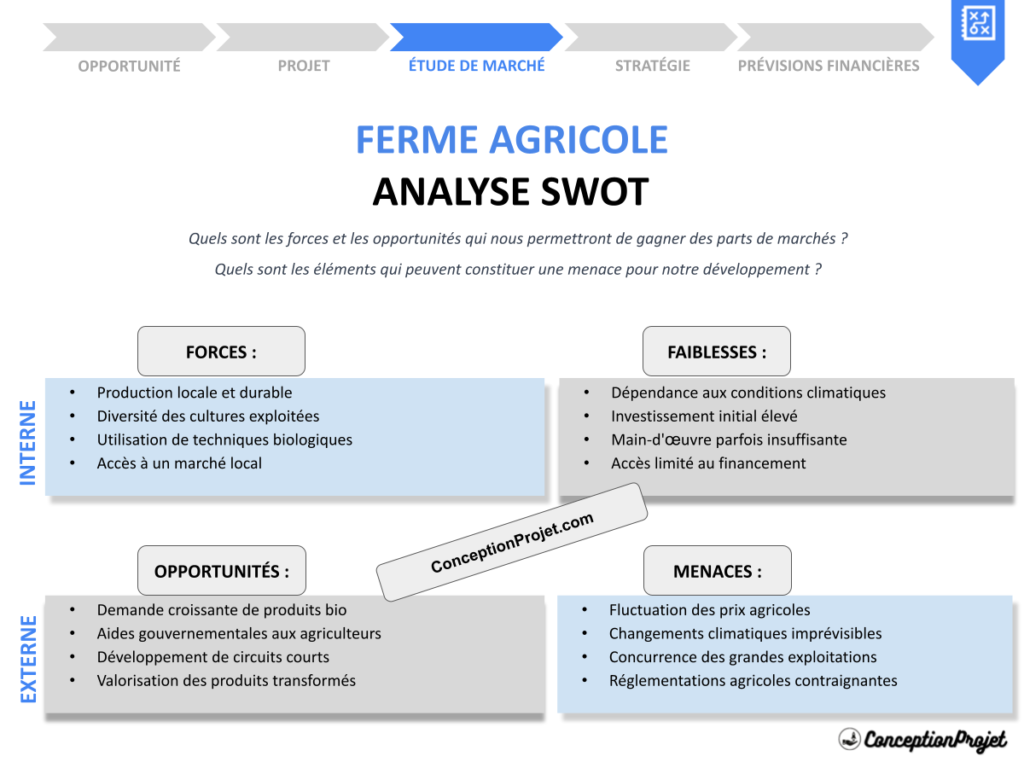 Exemple Analyse SWOT Ferme Agricole Cover