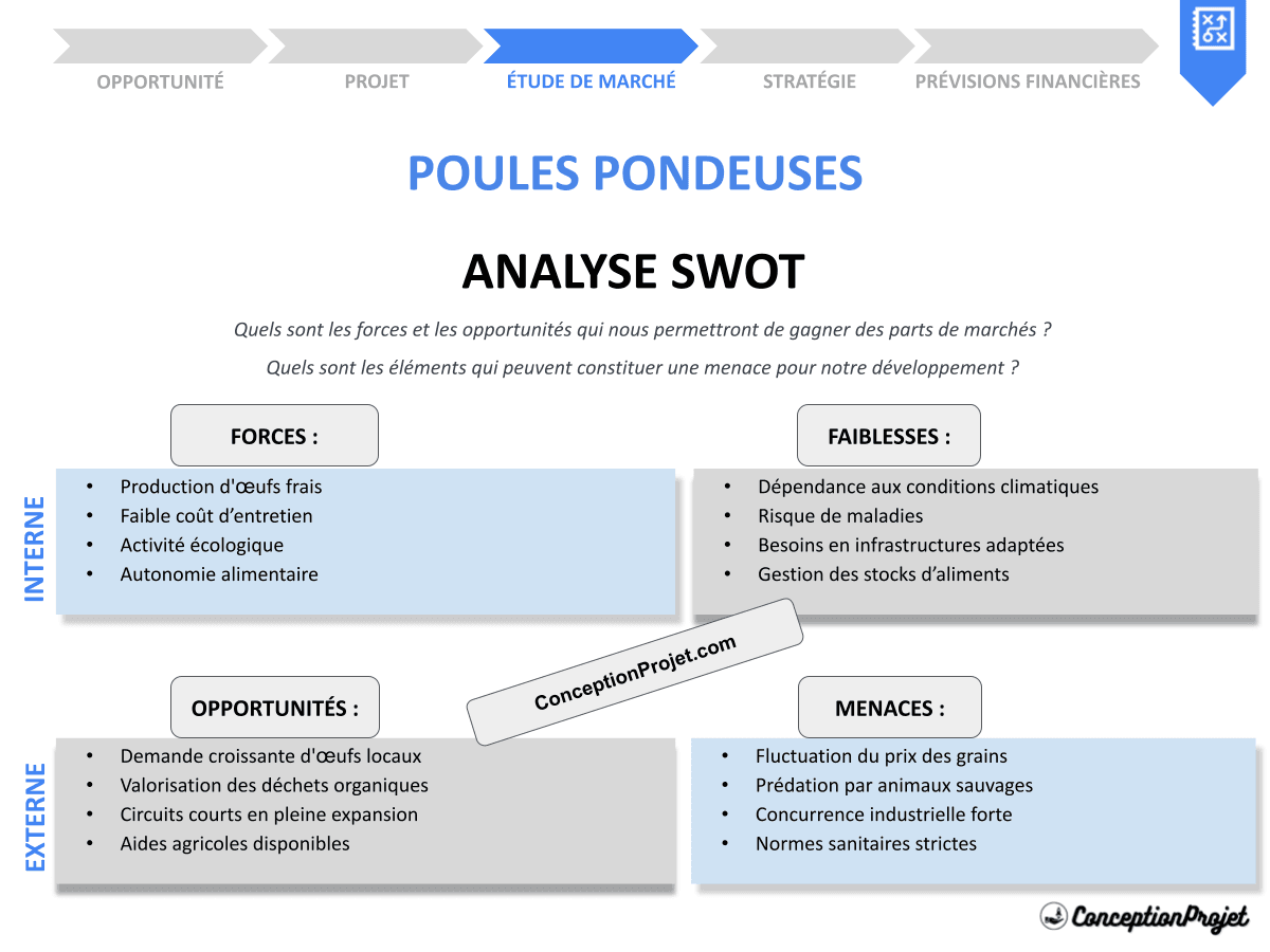 Comment réaliser une Analyse SWOT pour Poules Pondeuses ? Avec des Exemples Concrets ! Comment réaliser une Analyse SWOT pour Poules Pondeuses ? Avec des Exemples Concrets !
