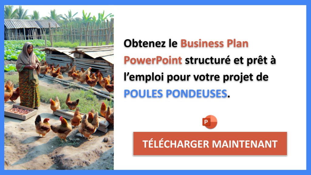 Poules Pondeuses Business Plan Exemple - POULES PONDEUSES-5