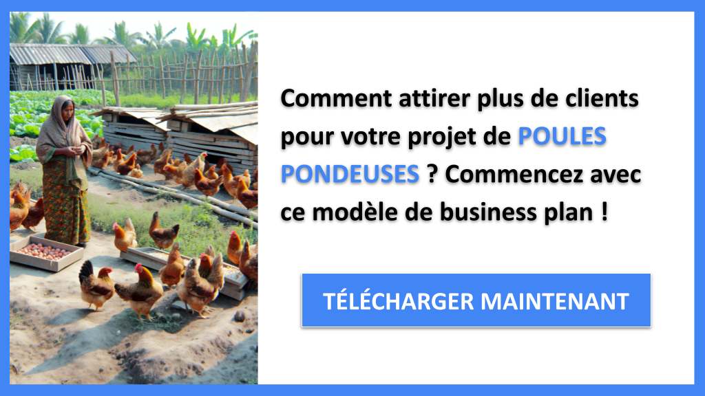 Plan Marketing Poules Pondeuses - POULES PONDEUSES-4
