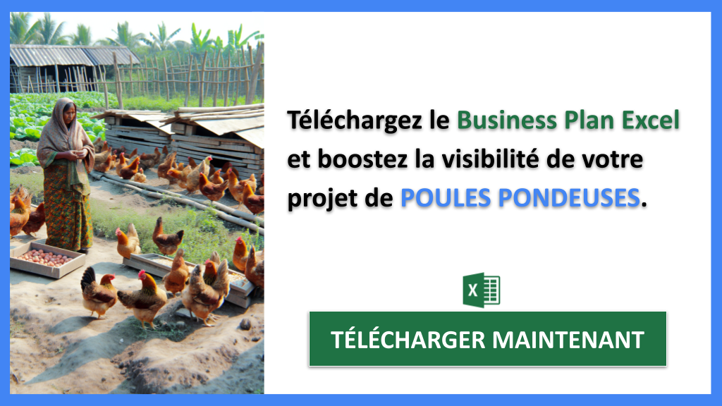 Plan Marketing Poules Pondeuses - POULES PONDEUSES-5