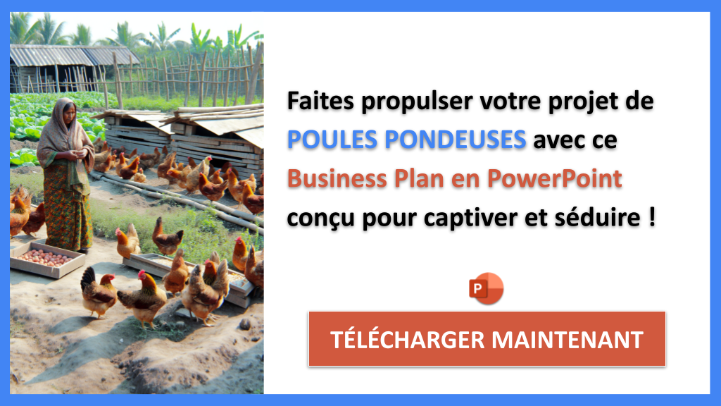 Plan Marketing Poules Pondeuses - POULES PONDEUSES-6