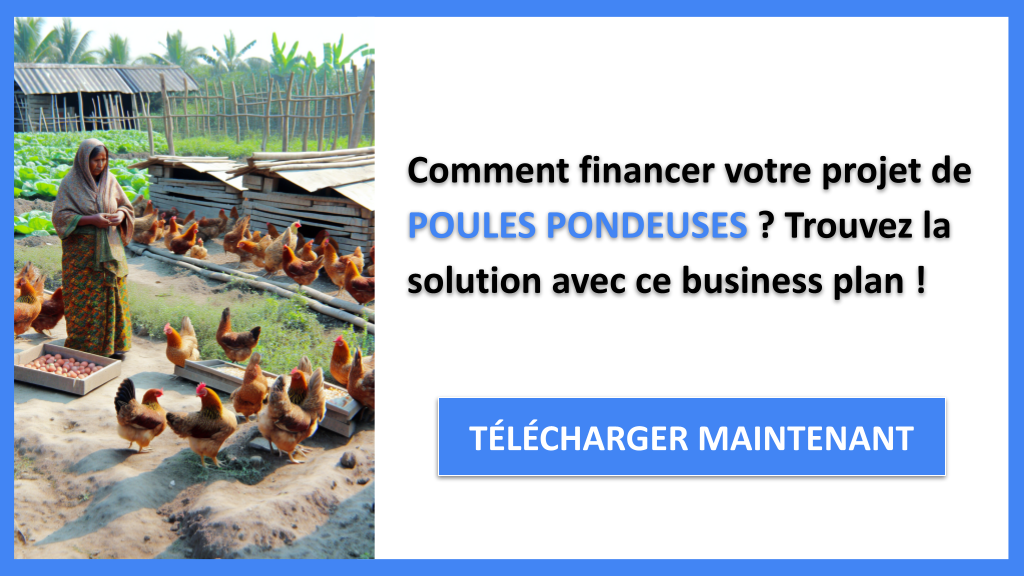 Quels sont les meilleurs moyens de financer des Poules Pondeuses aujourd'hui ? 6 Financement Poules Pondeuses - POULES PONDEUSES-4