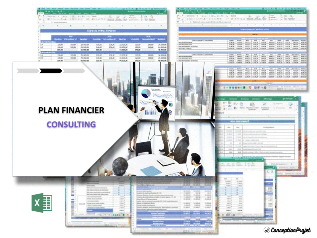 Consulting Plan financier Exemple Cover