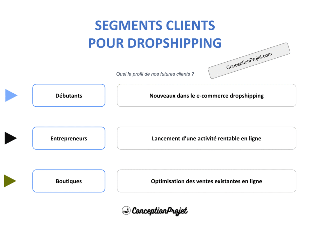 Segments Clients Dropshipping Cover