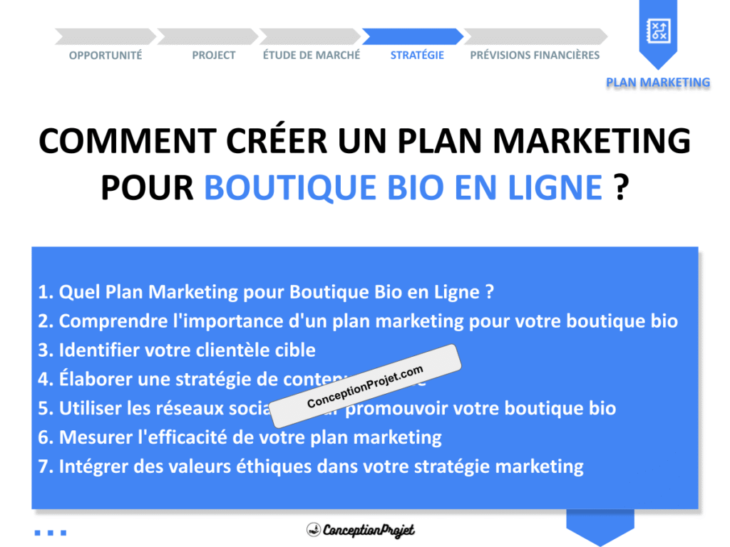 Plan Marketing Boutique Bio en Ligne Cover