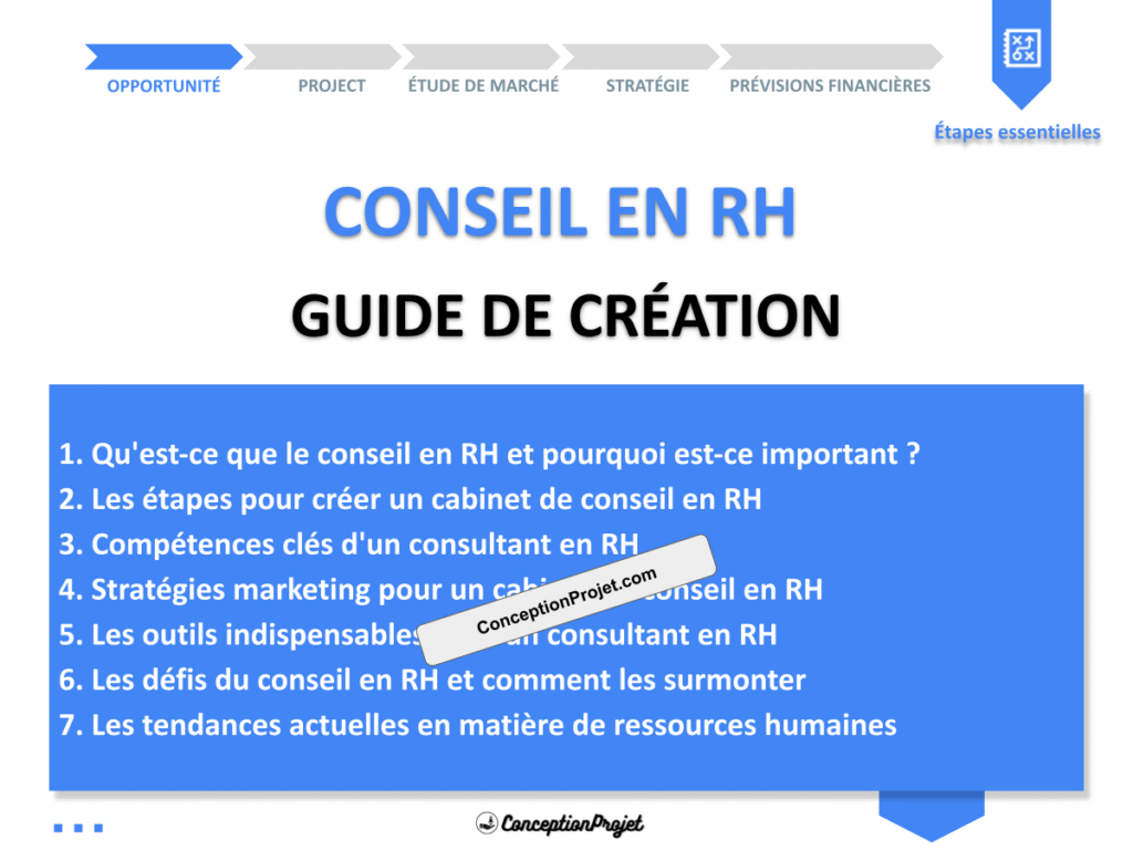Conseil en RH Guide de Creation Cover