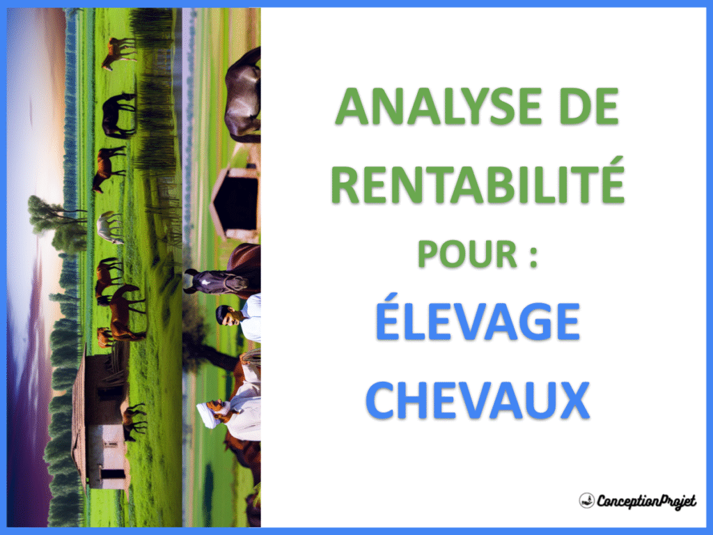 Elevage Chevaux Revenus Rentabilite Cover