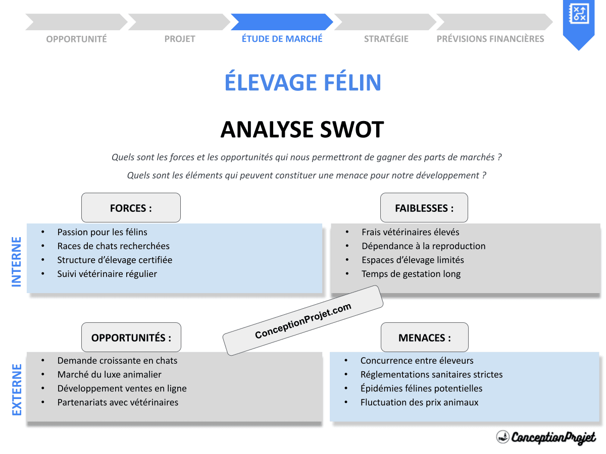 Comment réaliser une Analyse SWOT pour Élevage Félin ? Avec des Exemples Concrets ! Comment réaliser une Analyse SWOT pour Élevage Félin ? Avec des Exemples Concrets !