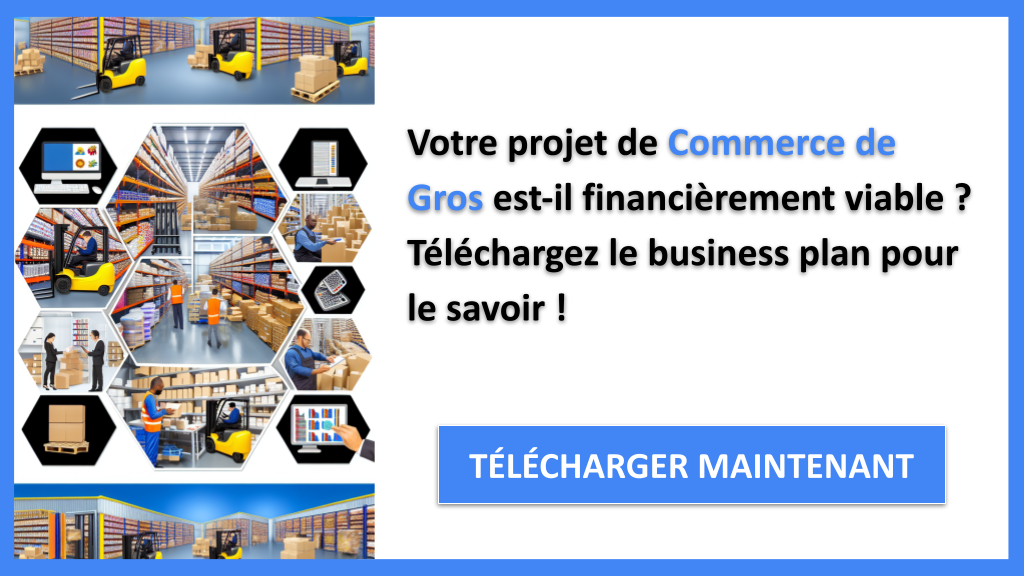Exemple Business Plan pour Commerce de Gros - Commerce de gros Plan financier Exemple- CTA1