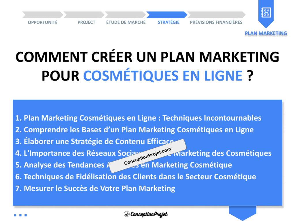 Plan Marketing Cosmetiques en Ligne Cover