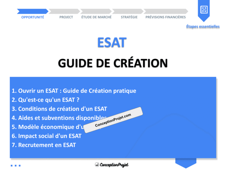 Ouvrir un ESAT : Guide de Création pratique