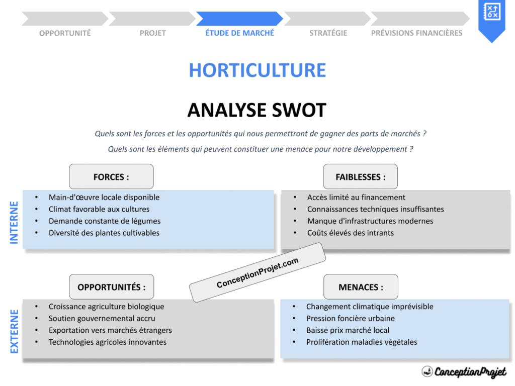 Exemple Analyse SWOT Horticulture Cover