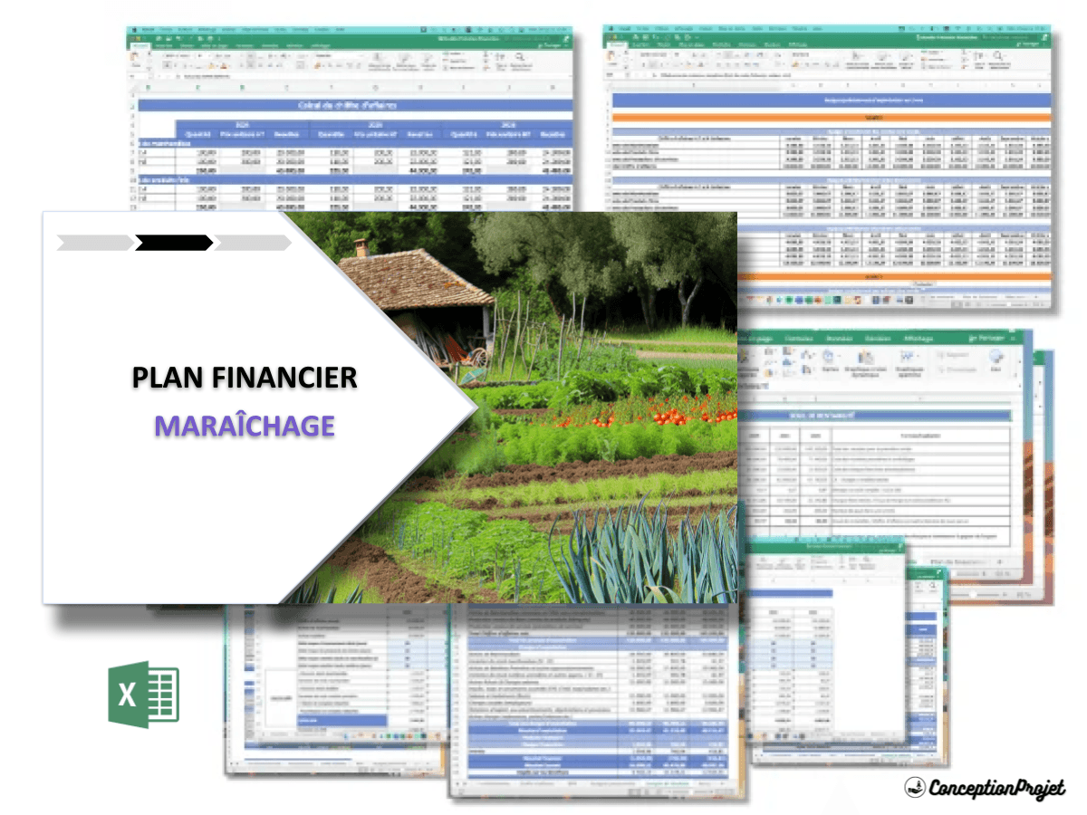 Plan financier pour une activité de maraîchage Plan financier pour une activité de maraîchage