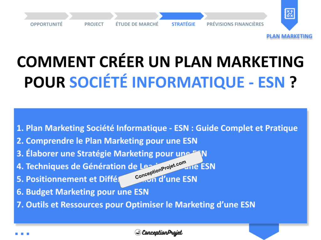 Plan Marketing Societe Informatique ESN Cover