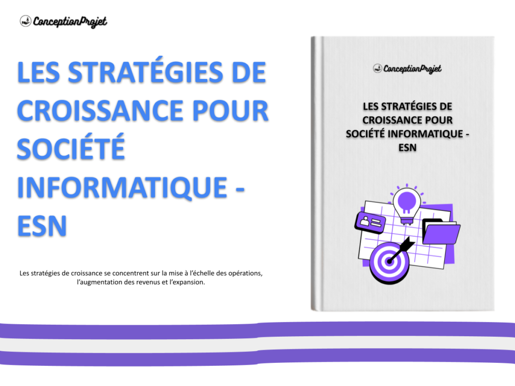 Strategies de Croissance Societe informatique ESN Cover